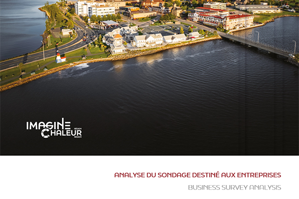 Business Survey Analysis – Chaleur Region