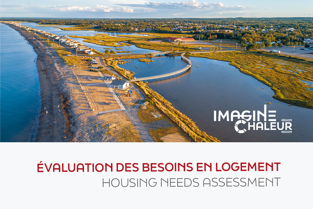 Housing Needs Assessment